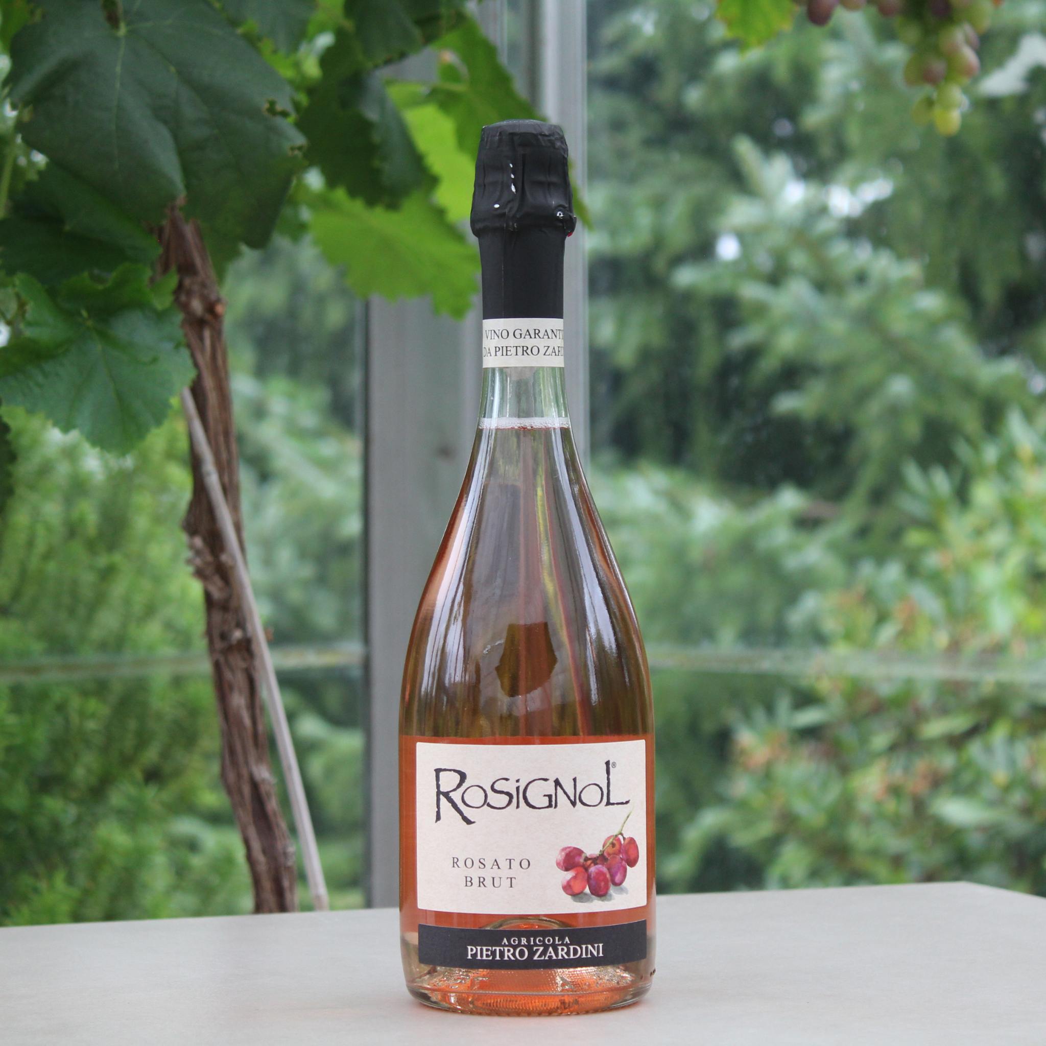 Rosignol rosato spumante/Rosévin 750 ml